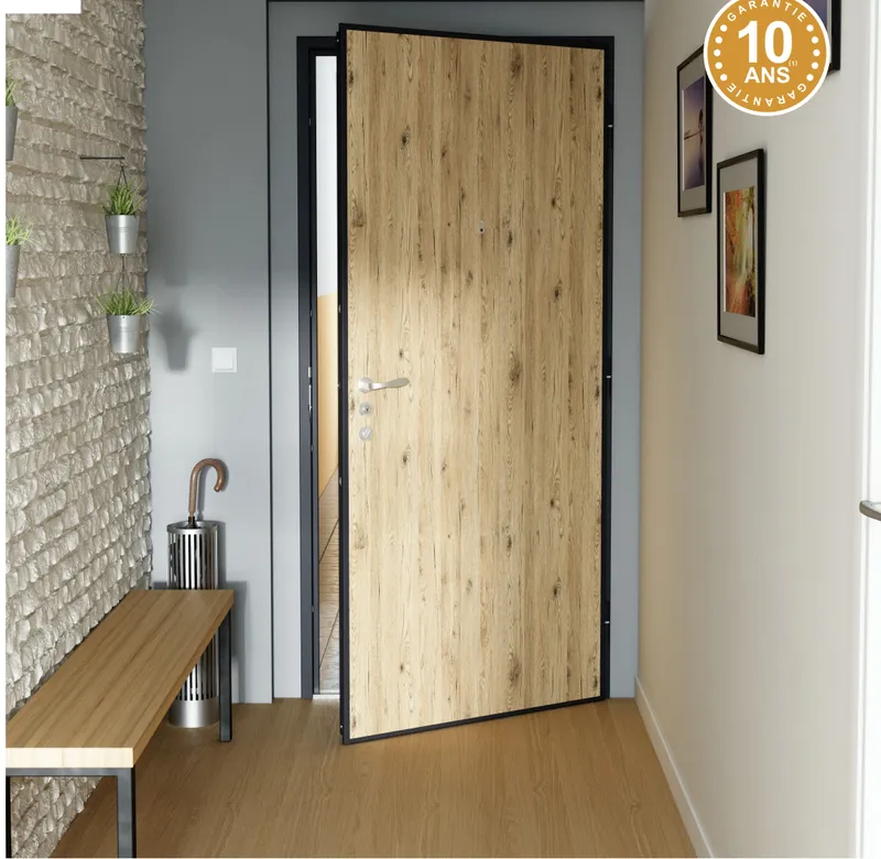 Porte blindée Picard Serrures Diamant 10