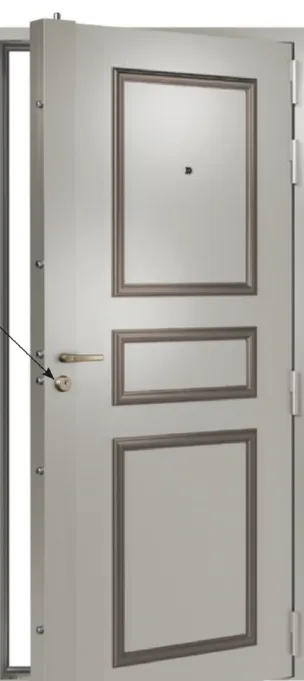 Blindage de porte Tordjman Métal RMETIC Copro